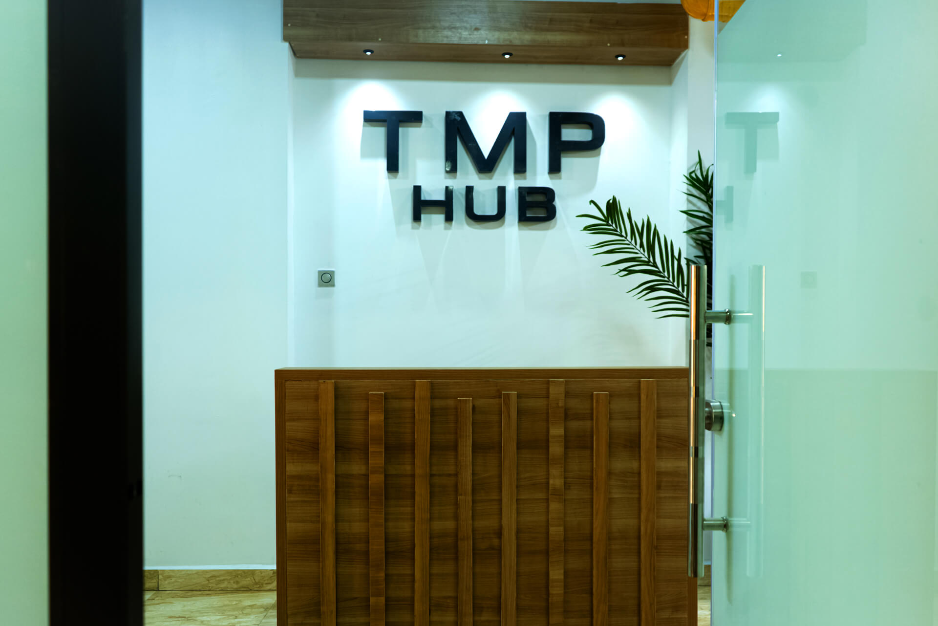 TMP Hub (1)